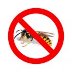 Wasp prevention tips